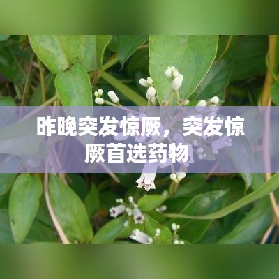 昨晚突发惊厥，突发惊厥首选药物 