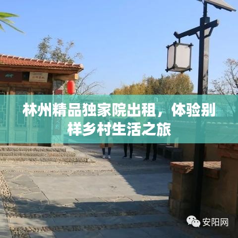 林州精品独家院出租，体验别样乡村生活之旅