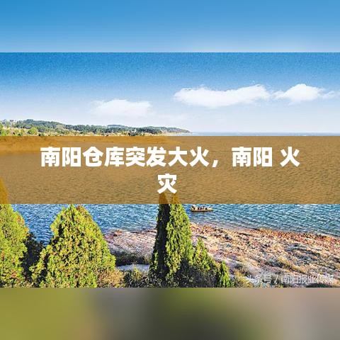 南阳仓库突发大火，南阳 火灾 