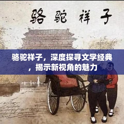 骆驼祥子，深度探寻文学经典，揭示新视角的魅力