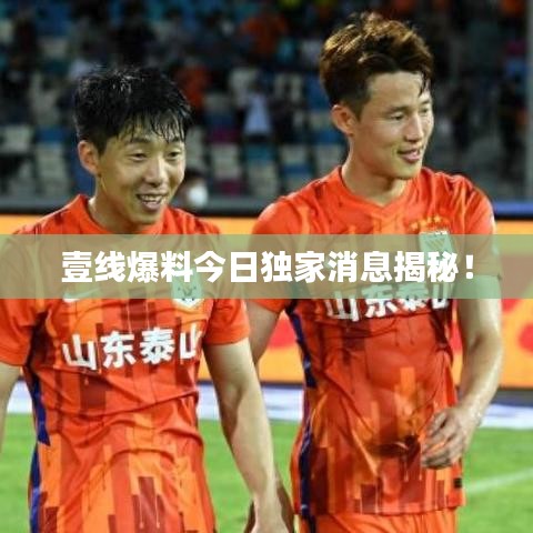 壹线爆料今日独家消息揭秘！