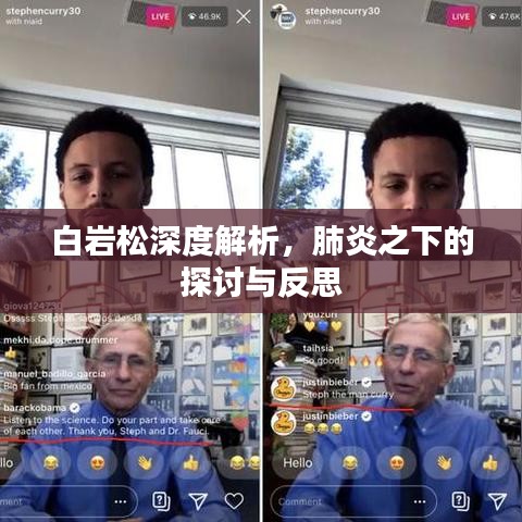 白岩松深度解析，肺炎之下的探讨与反思