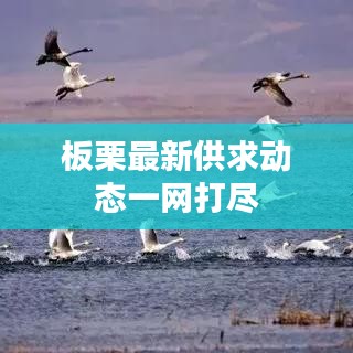 联系我们 第77页