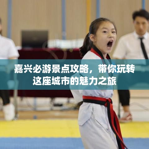 嘉兴必游景点攻略，带你玩转这座城市的魅力之旅