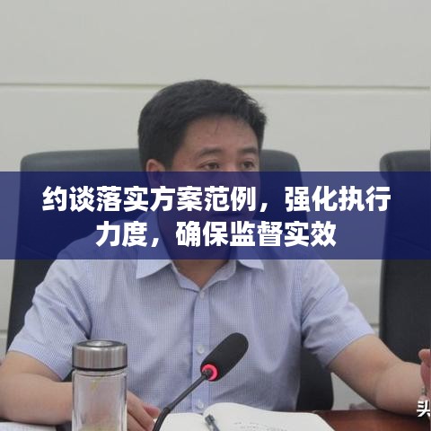 约谈落实方案范例，强化执行力度，确保监督实效