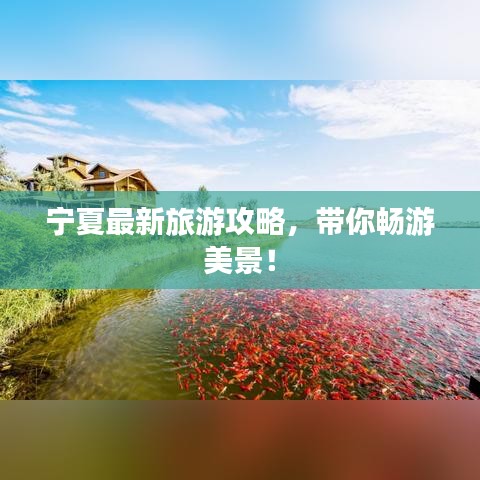 宁夏最新旅游攻略，带你畅游美景！