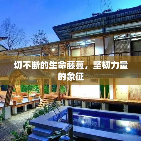 去就之分 第3页