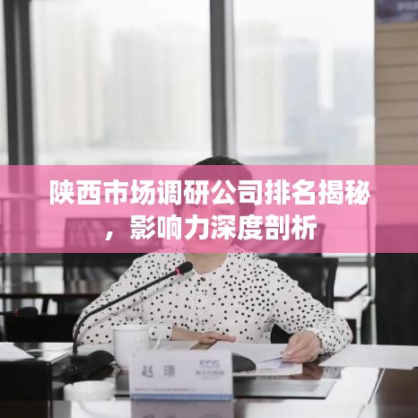陕西市场调研公司排名揭秘，影响力深度剖析
