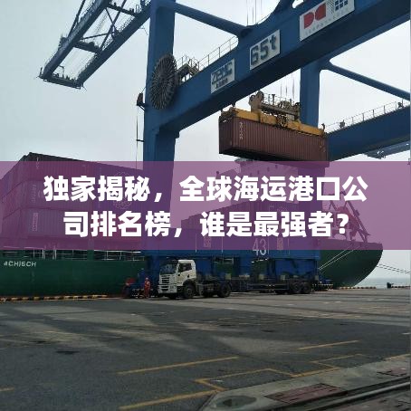独家揭秘，全球海运港口公司排名榜，谁是最强者？
