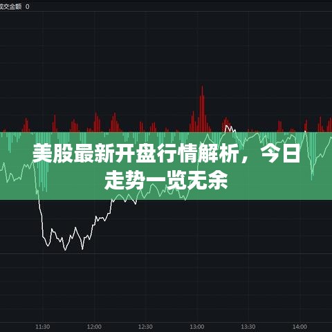 美股最新开盘行情解析，今日走势一览无余