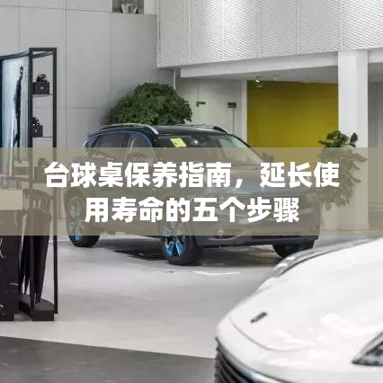 台球桌保养秘籍，五步延长使用寿命指南