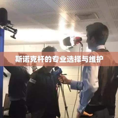 斯诺克杆，专业挑选与保养之道