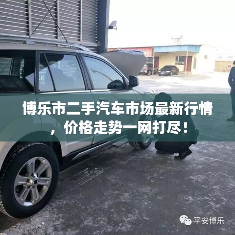 博乐市二手汽车市场最新行情，价格走势一网打尽！
