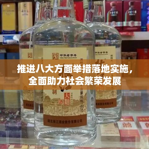 推进八大方面举措落地实施，全面助力社会繁荣发展