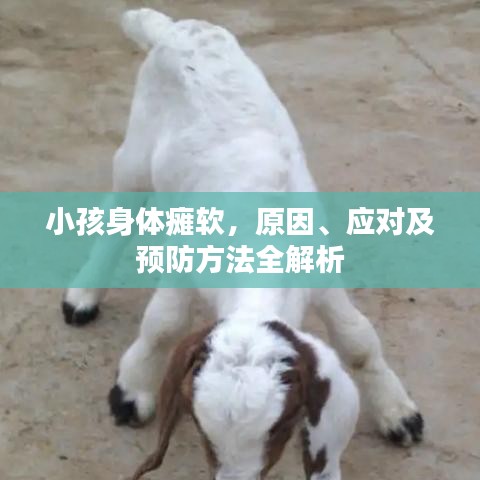 小孩身体瘫软，原因、应对及预防方法全解析