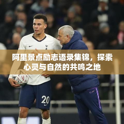 阿里景点励志语录集锦，探索心灵与自然的共鸣之地