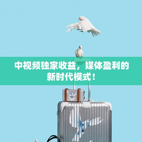 中视频独家收益，媒体盈利的新时代模式！