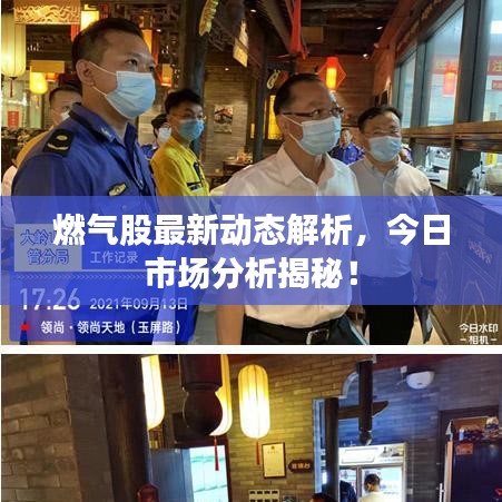 笼中之鸟 第2页