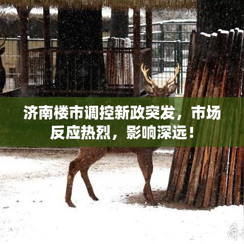 济南楼市调控新政突发，市场反应热烈，影响深远！