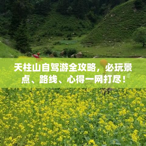 天柱山自驾游全攻略，必玩景点、路线、心得一网打尽！