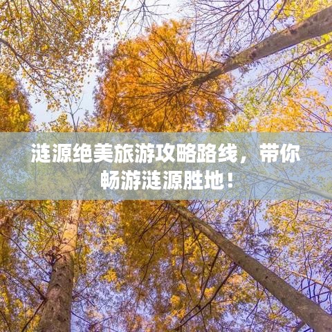 贵阴贱璧 第2页