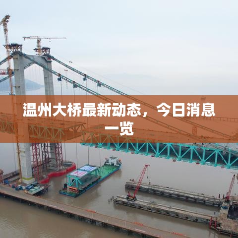 温州大桥最新动态，今日消息一览