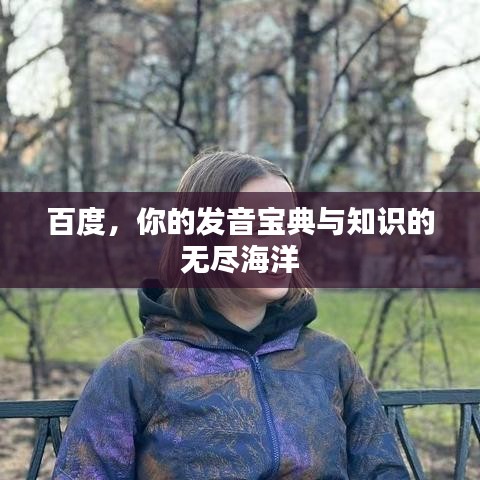 百度，你的发音宝典与知识的无尽海洋