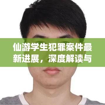 仙游学生犯罪案件最新进展，深度解读与法律解析
