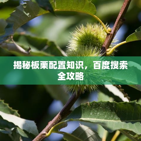揭秘板栗配置知识，百度搜索全攻略