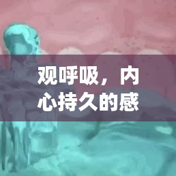 观呼吸，内心持久的感悟之旅