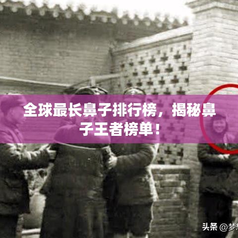 全球最长鼻子排行榜，揭秘鼻子王者榜单！