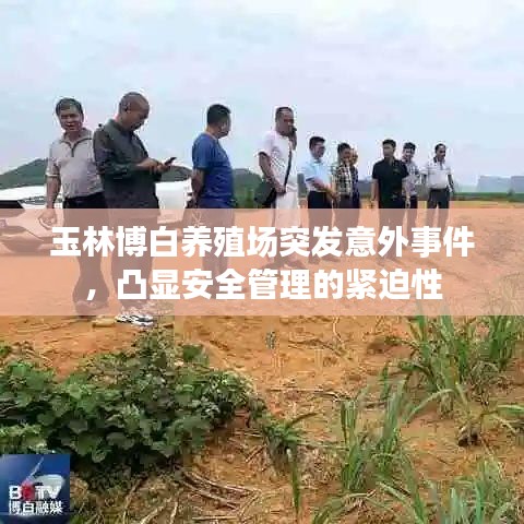 玉林博白养殖场突发意外事件，凸显安全管理的紧迫性