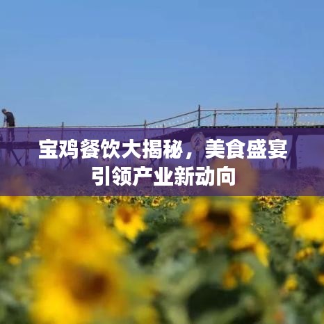 宝鸡餐饮大揭秘，美食盛宴引领产业新动向
