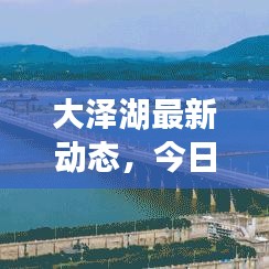 大泽湖最新动态，今日揭秘最新消息！