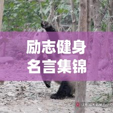一往无前 第2页