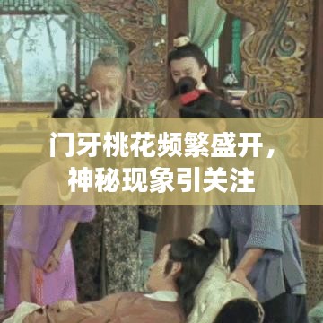 门牙桃花频繁盛开，神秘现象引关注