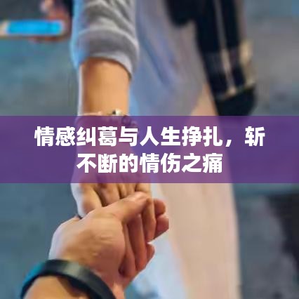 情感纠葛与人生挣扎，斩不断的情伤之痛