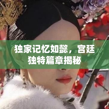 独家记忆如懿，宫廷独特篇章揭秘