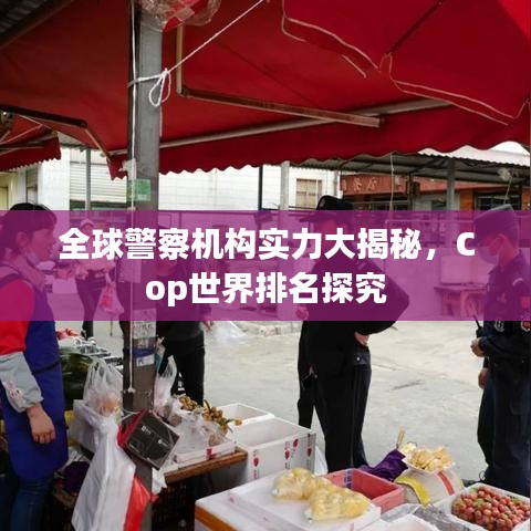 全球警察机构实力大揭秘，Cop世界排名探究