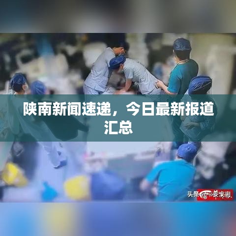 陕南新闻速递，今日最新报道汇总