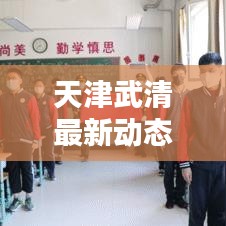 天津武清最新动态更新！