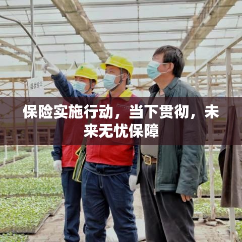 保险实施行动，当下贯彻，未来无忧保障