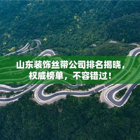 山东装饰丝带公司排名揭晓，权威榜单，不容错过！