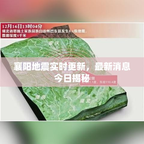 虫言鸟迹 第2页