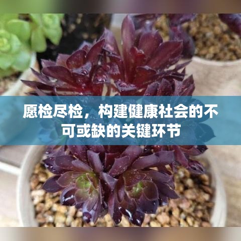 愿检尽检，构建健康社会的不可或缺的关键环节