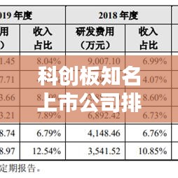 科创板知名上市公司排名大揭秘，谁是行业领军者？