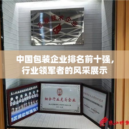 中国包装企业排名前十强，行业领军者的风采展示