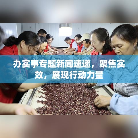 办实事专题新闻速递，聚焦实效，展现行动力量