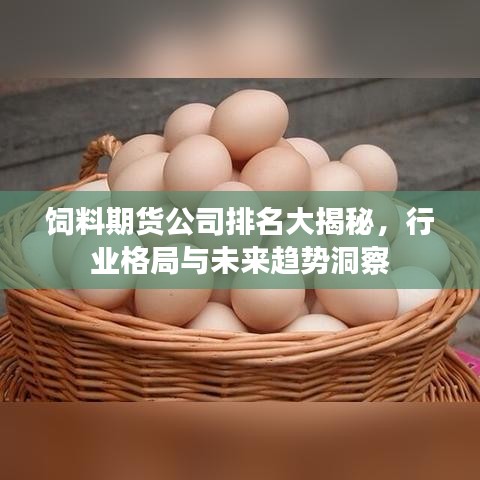 饲料期货公司排名大揭秘，行业格局与未来趋势洞察
