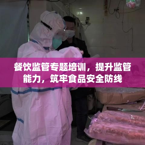 餐饮监管专题培训，提升监管能力，筑牢食品安全防线